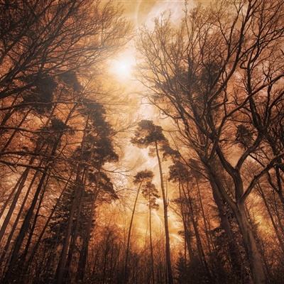 乐鱼官方-登录入口