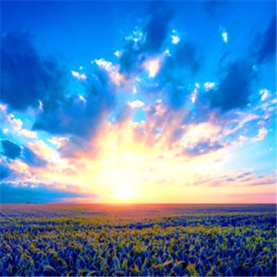 开云集团手机app下载