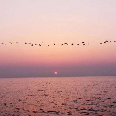 南宫28下载手机版