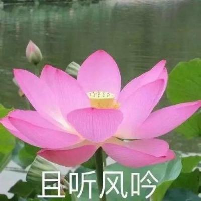 OB官网登录入口