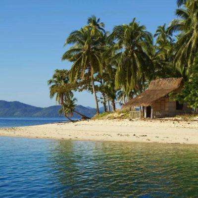 OB官网登录入口